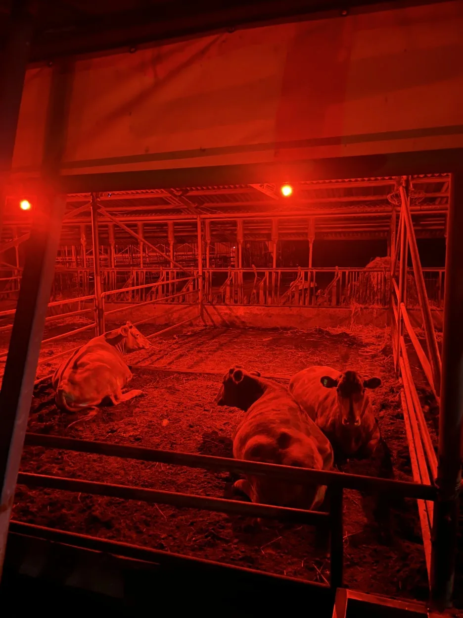 KakaoTalk_20250924_204003109_02.jpg?type=w1