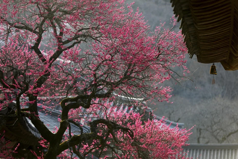 4a27d153-ca88-42ac-bf81-ae683eb27b26.jpg?type=w1