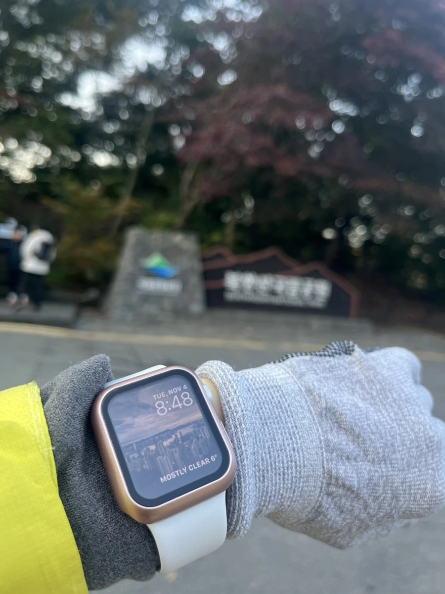 IMG%EF%BC%BF3320.jpg?type=w1