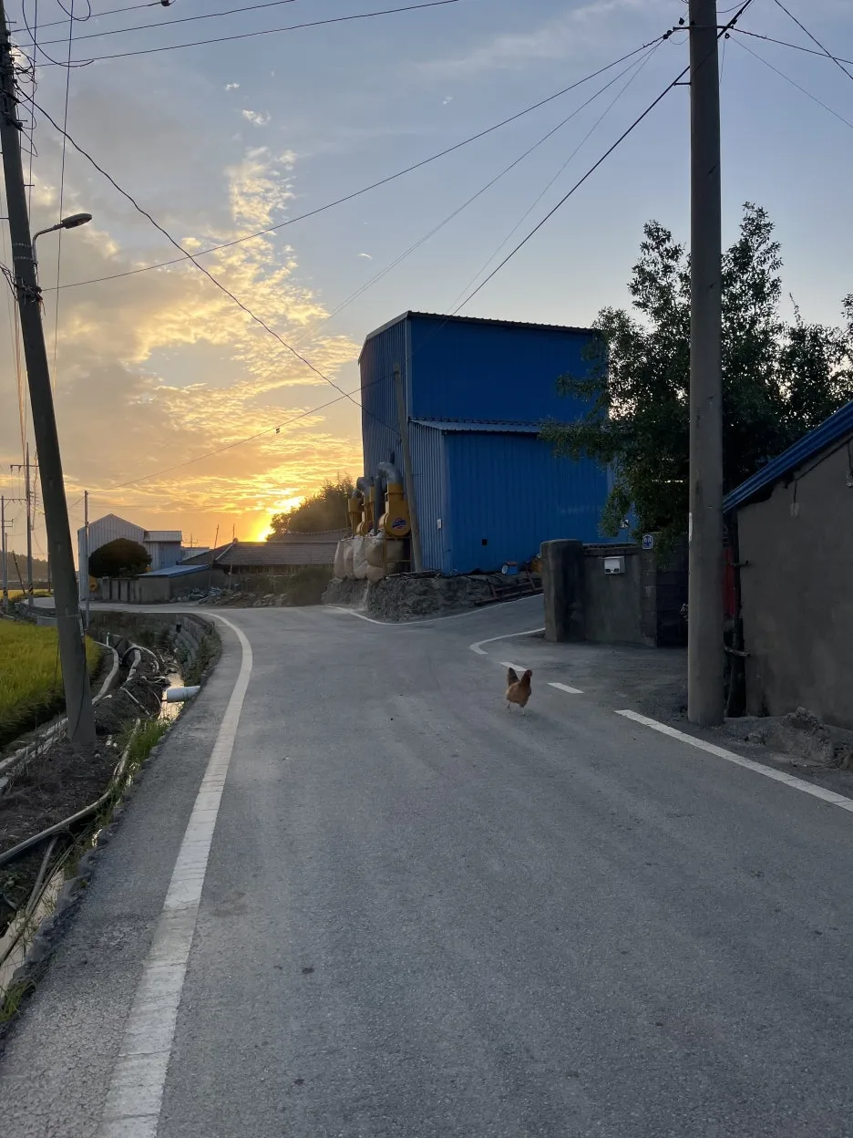 KakaoTalk_20251002_201145776_04.jpg?type=w1