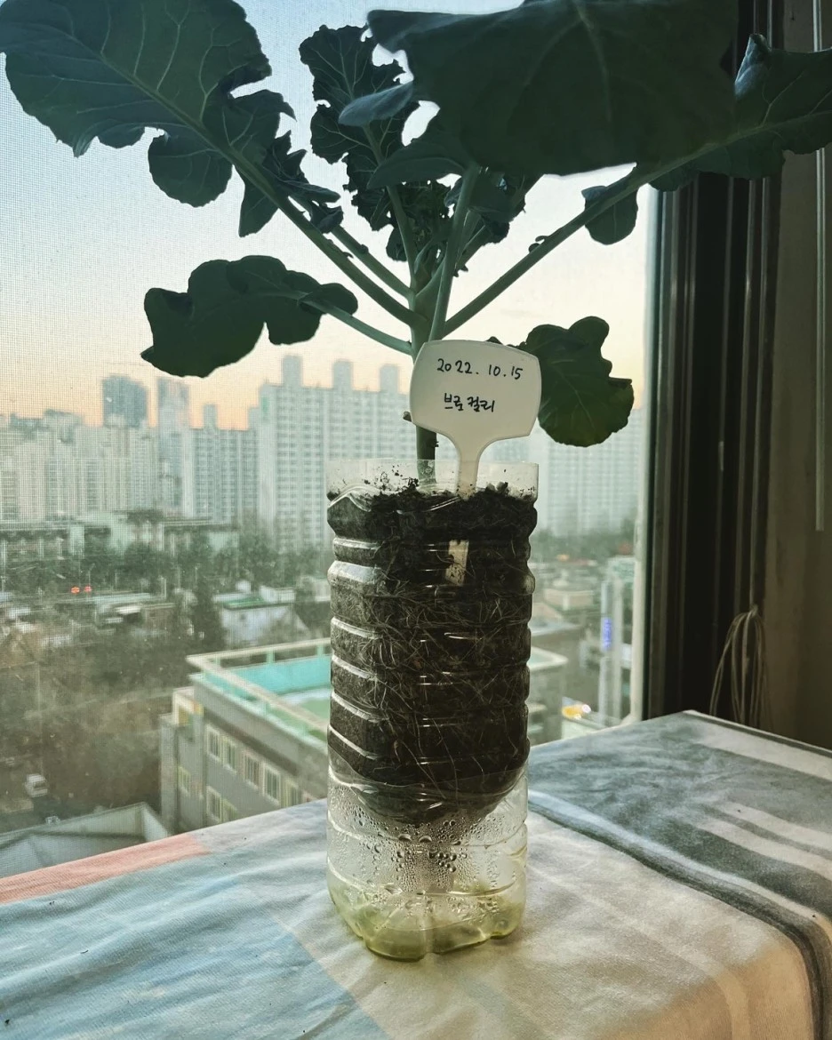 KakaoTalk_20230109_191155824.jpg?type=w1