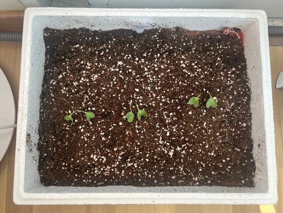 SE-c1f52cfc-1d49-41bf-acef-ce7320ebbbcd.jpg?type=w1