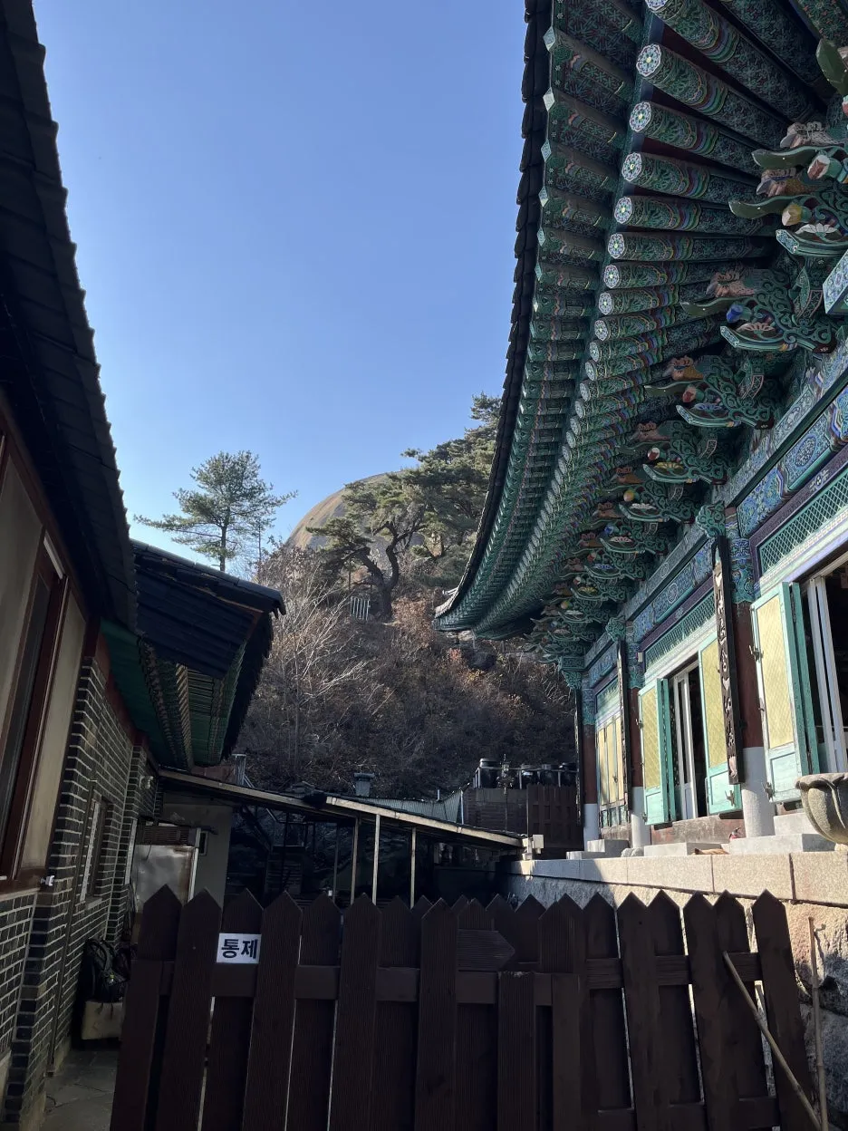 KakaoTalk_20251116_223517170_13.jpg?type=w1