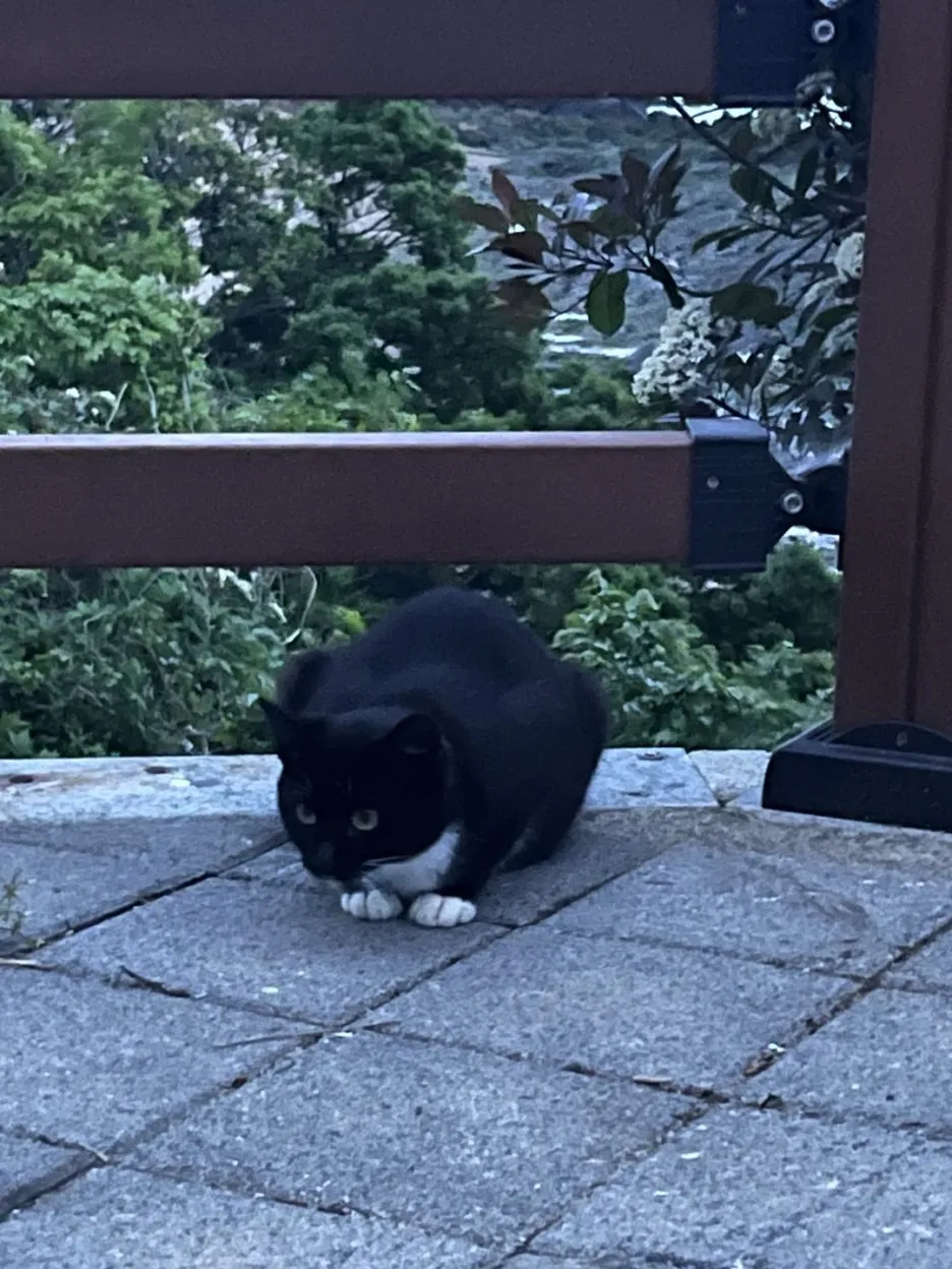 KakaoTalk_20250517_204210669_19.jpg?type=w1