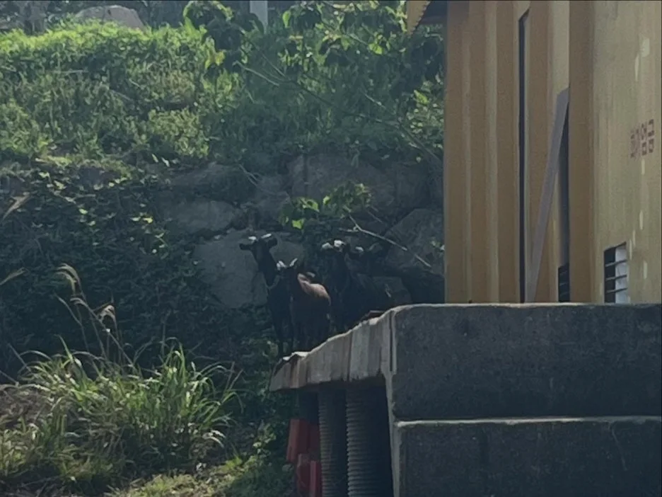 KakaoTalk_20250511_223039309_03.jpg?type=w1