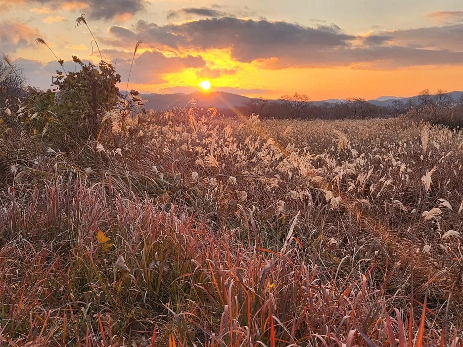 KakaoTalk_20251205_203852892_01.jpg?type=w1