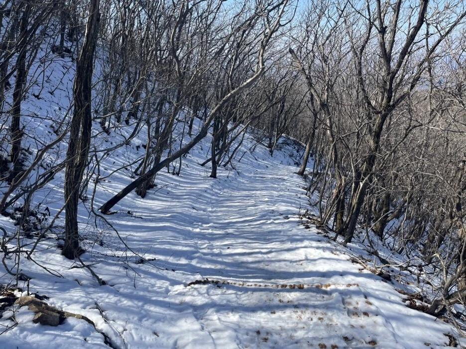 yzysyvzG1MC3ofFKB5mhvhEXWzA