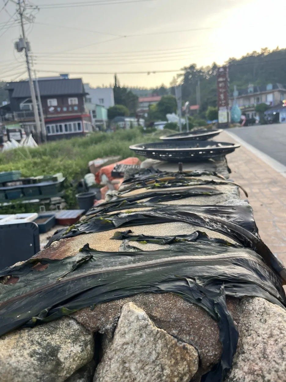 KakaoTalk_20250513_192331592_27.jpg?type=w1