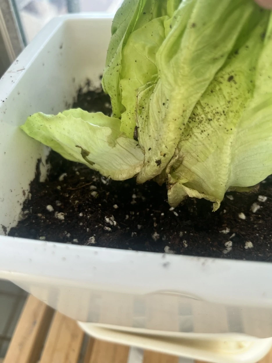 KakaoTalk_20221211_190405585.jpg?type=w1