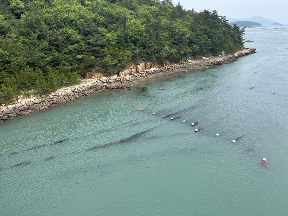 KakaoTalk_20250511_131746459_03.jpg?type=w1