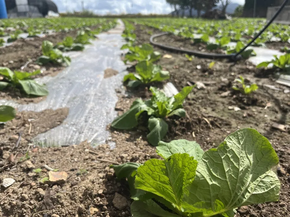 KakaoTalk_20250918_050248673_17.jpg?type=w1