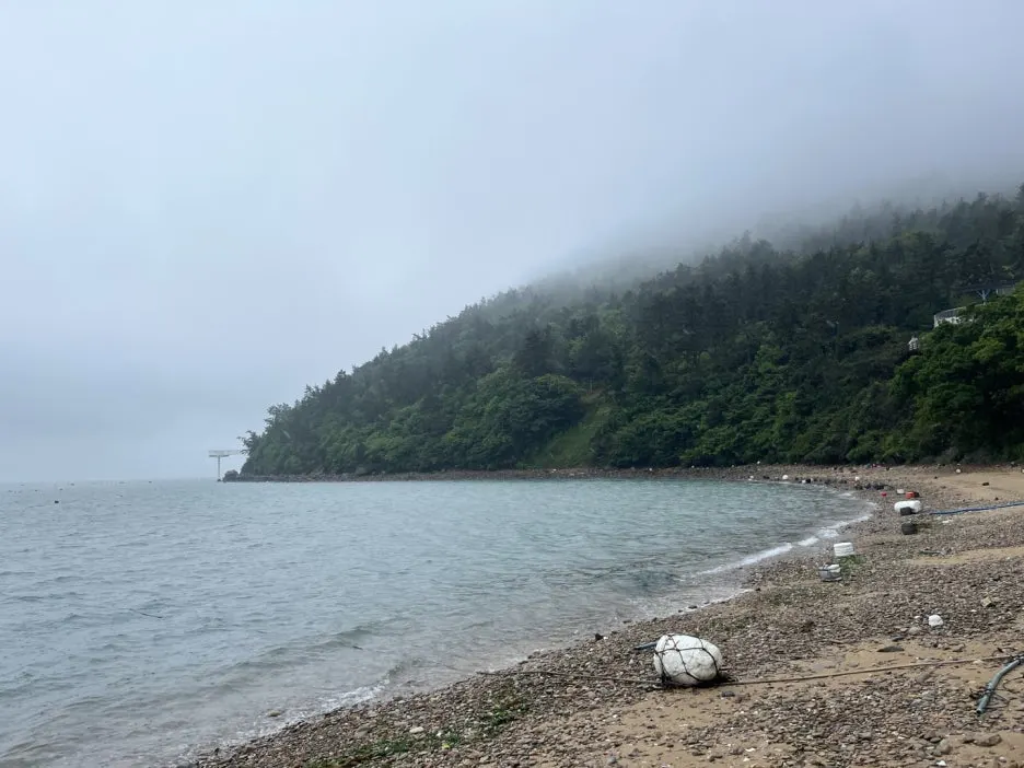 KakaoTalk_20250516_225135760_02.jpg?type=w1