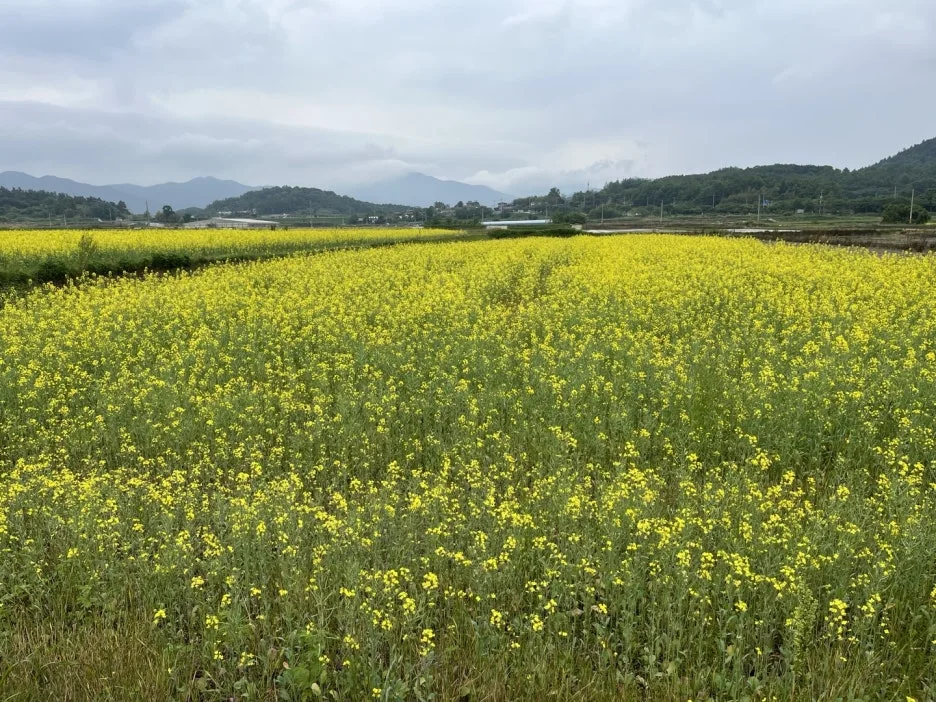 KakaoTalk_20250523_220402840_06.jpg?type=w1