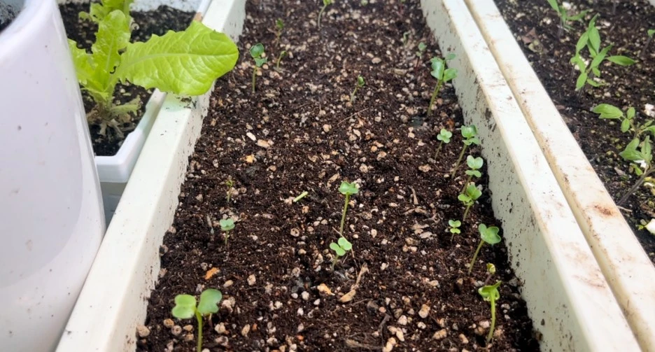 SE-8f5fb2fa-ccd1-4106-8772-4a09c889c3ae.jpg?type=w1