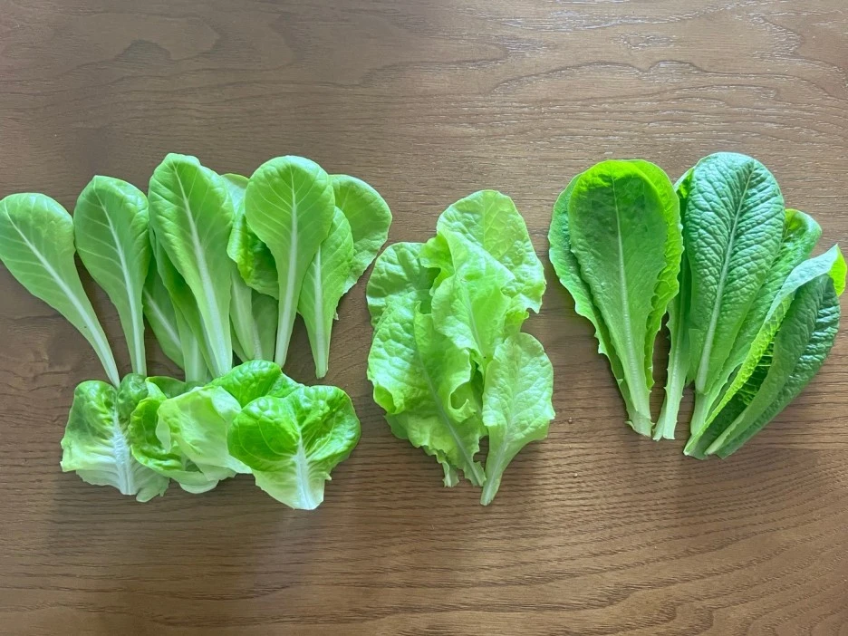 SE-f5719a6e-83e8-4516-b431-fdf093d3ee04.jpg?type=w1