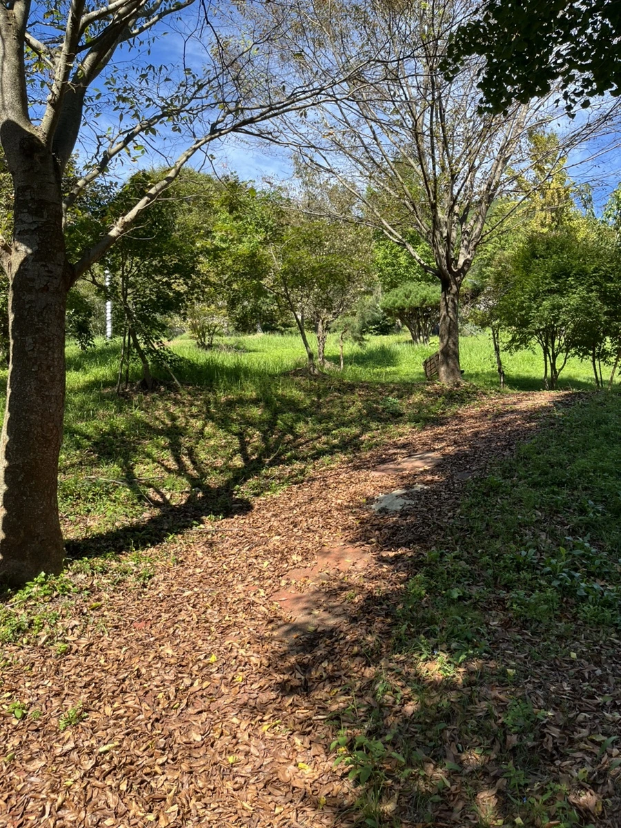 IMG_6692.jpg?type=w1