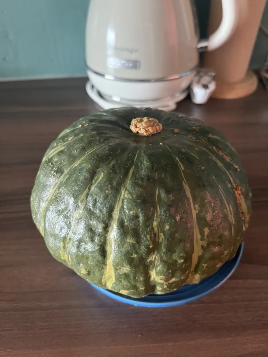 KakaoTalk_20240824_105213173.jpg?type=w1