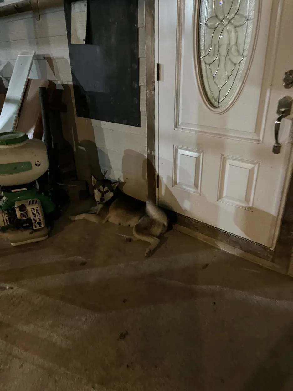 KakaoTalk_20251002_201145776.jpg?type=w1