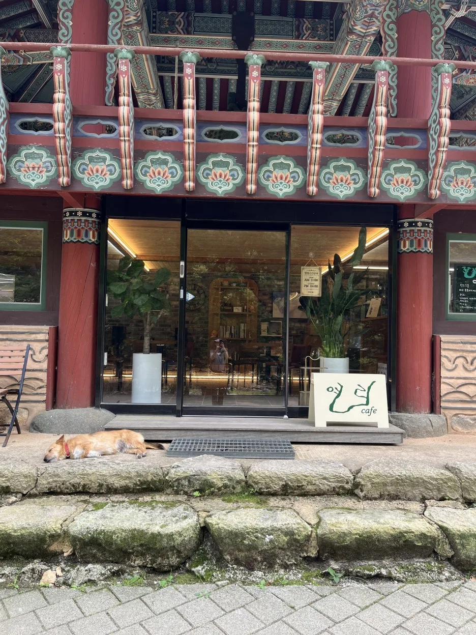 KakaoTalk_20250619_172644686.jpg?type=w1