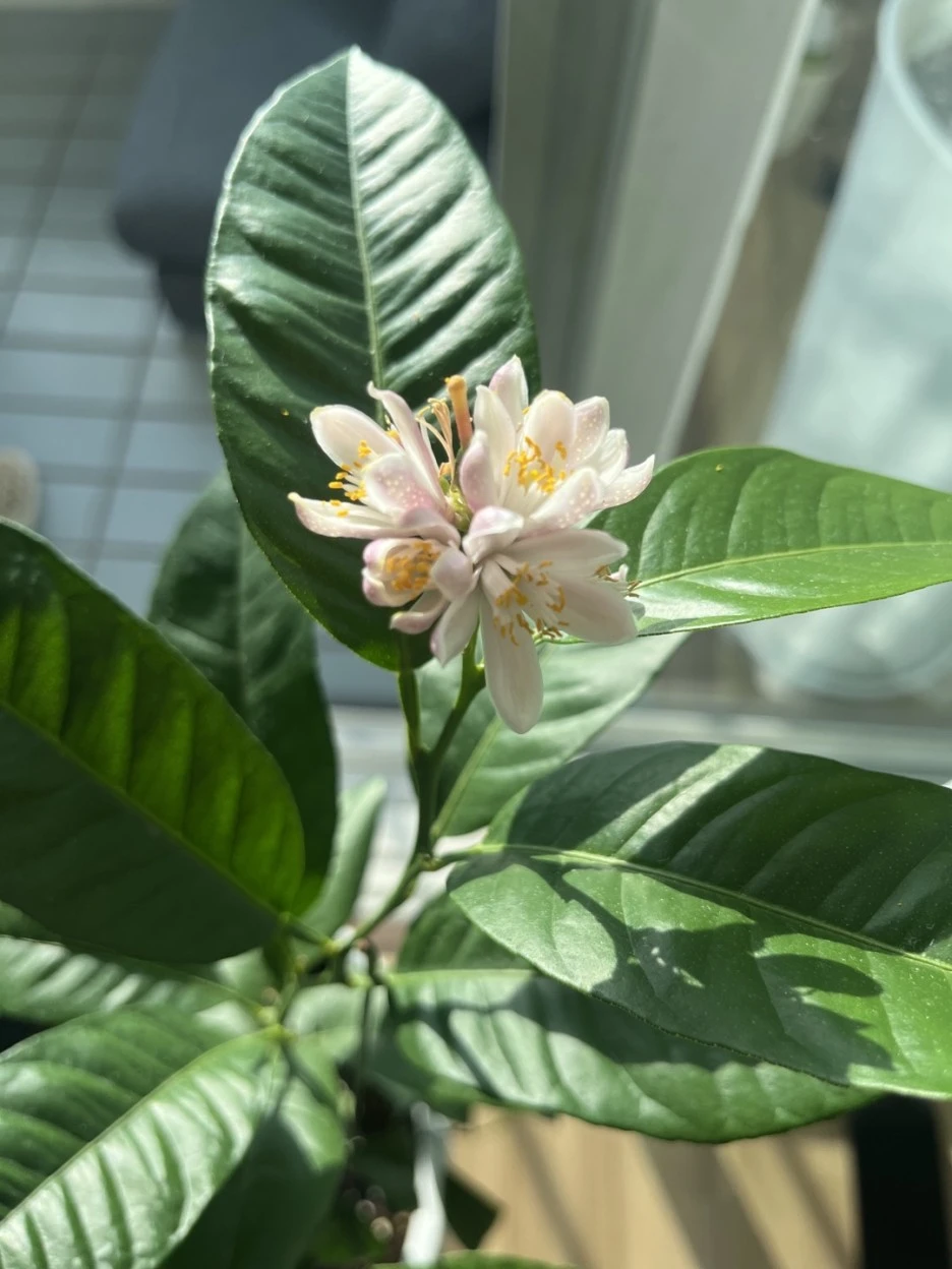 KakaoTalk_20221218_101933365_(1).jpg?type=w1