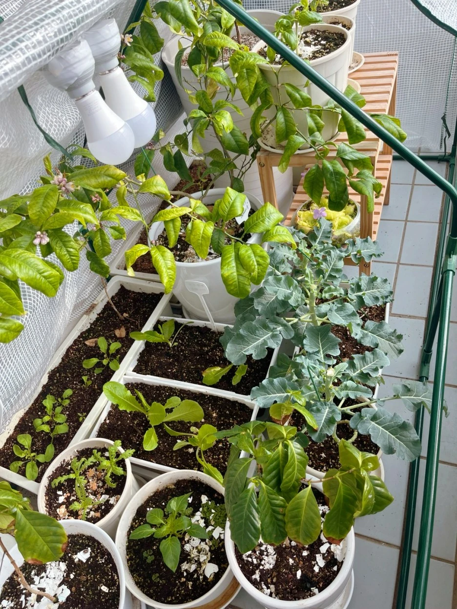 SE-9400f377-c509-4f38-94cd-d4f729e00b40.jpg?type=w1