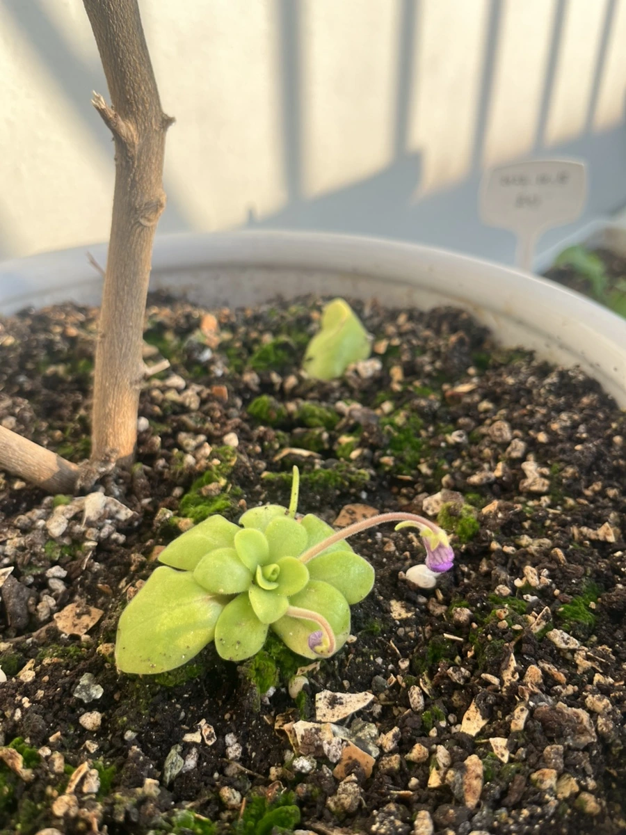 IMG%EF%BC%BF6193.jpg?type=w1