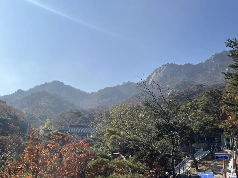 KakaoTalk_20251109_102723231_07.jpg?type=w1