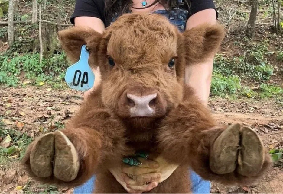 KakaoTalk_20250615_212508394_01.jpg?type=w1