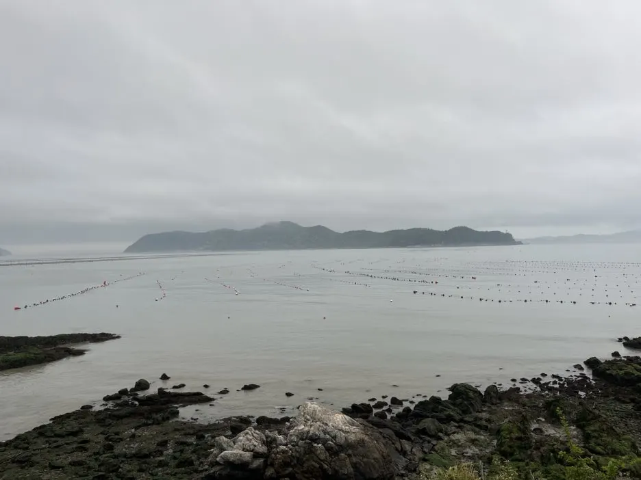 KakaoTalk_20250515_211804850_07.jpg?type=w1