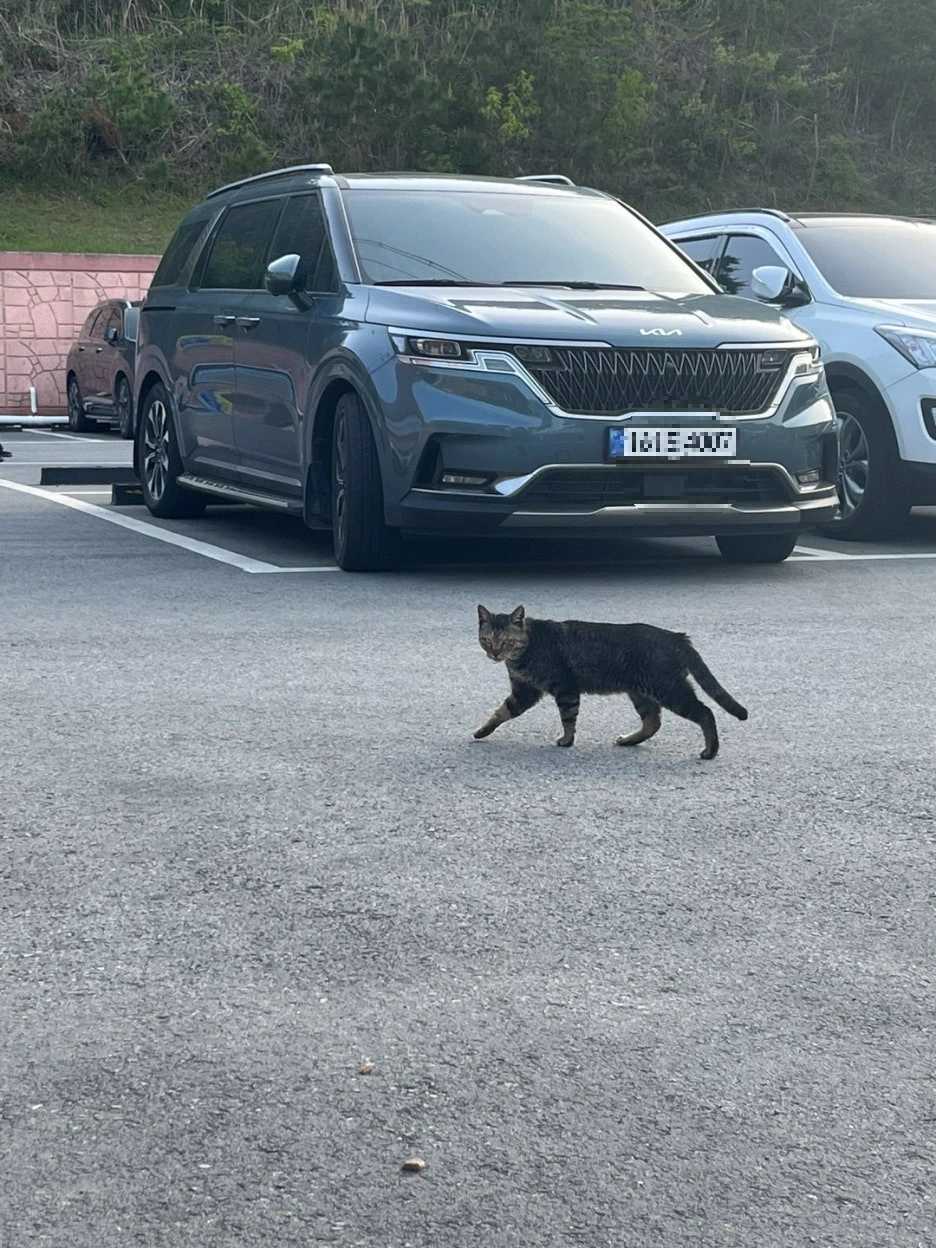 KakaoTalk_20250507_201512867_25.jpg?type=w1