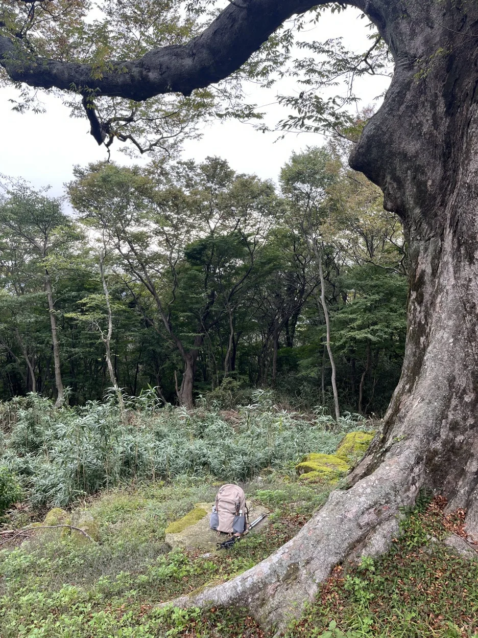 KakaoTalk_20251102_192635874_19.jpg?type=w1