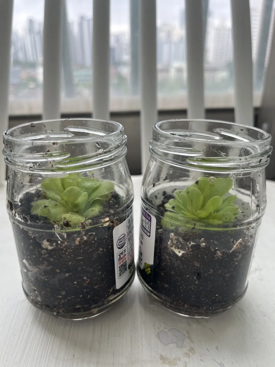 KakaoTalk_20250628_095459608_06.jpg?type=w1