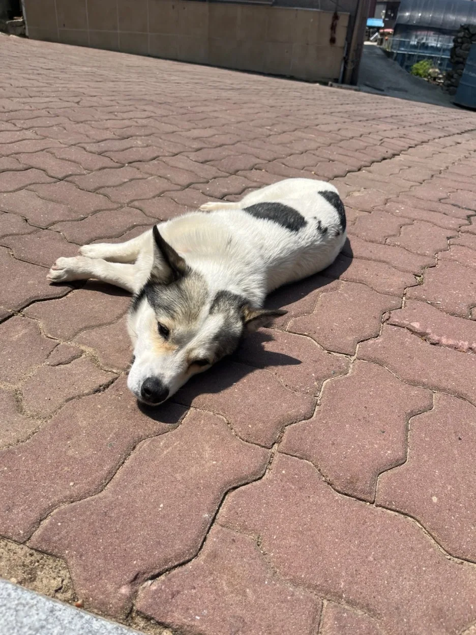 KakaoTalk_20250512_203938840_02.jpg?type=w1