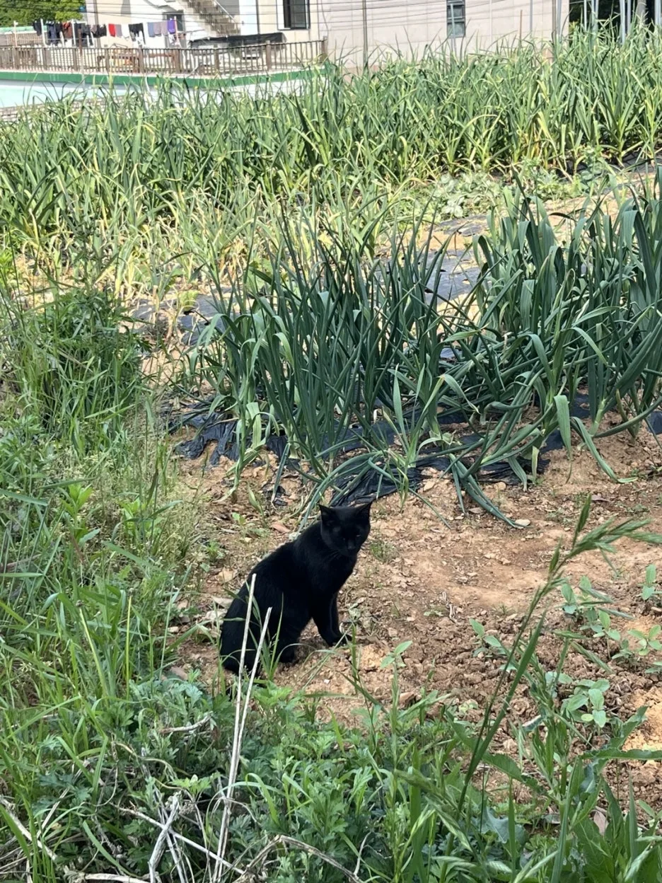 KakaoTalk_20250513_192331592_17.jpg?type=w1