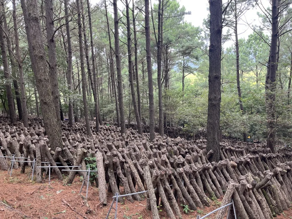 KakaoTalk_20250922_231843954_01.jpg?type=w1