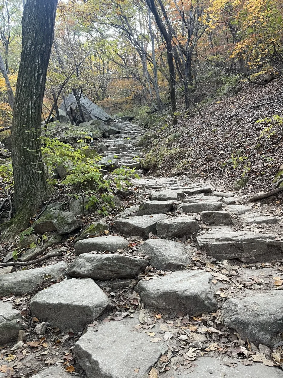 KakaoTalk_20251106_094233518_03.jpg?type=w1