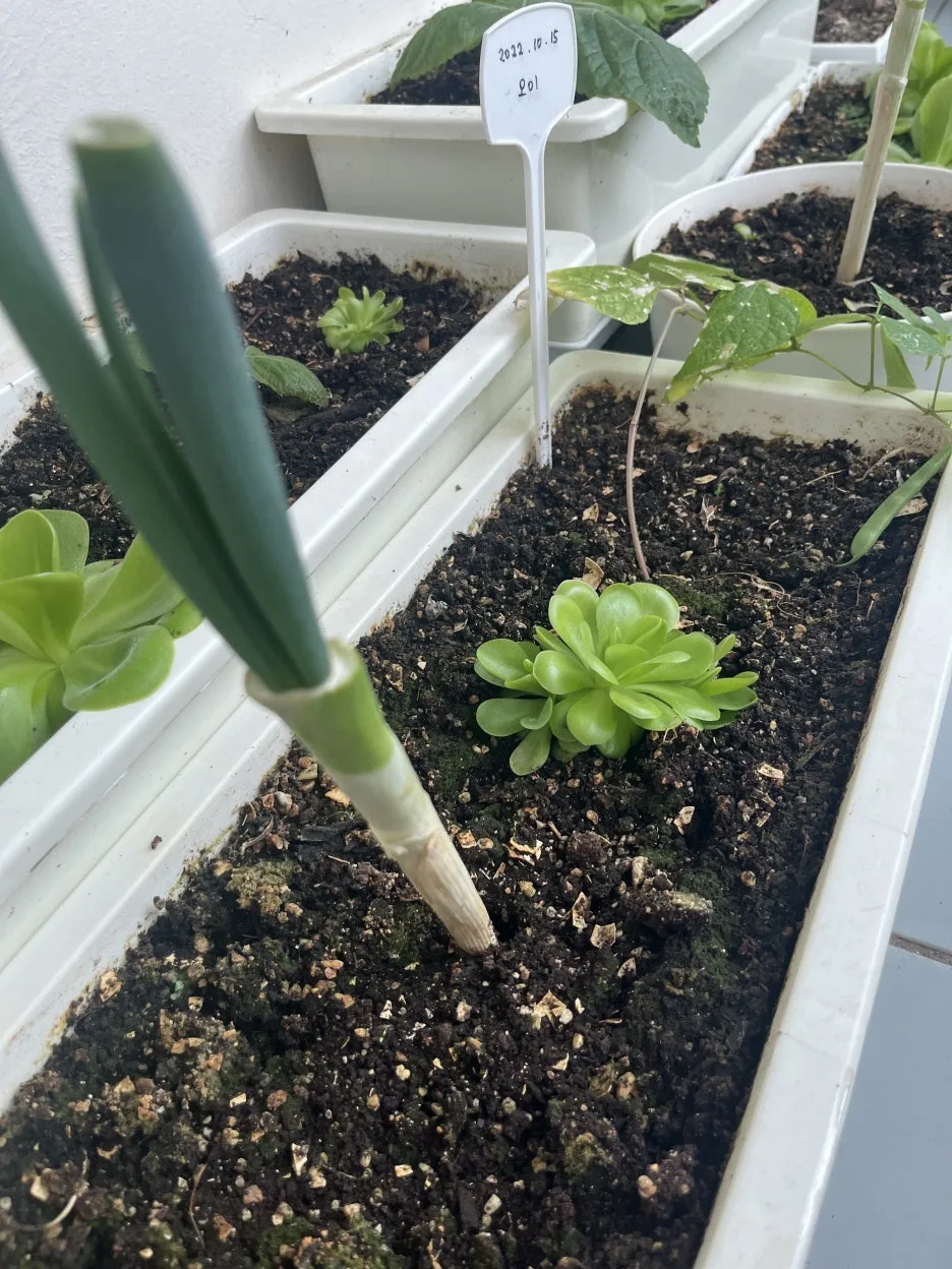 KakaoTalk_20250628_095459608_13.jpg?type=w1