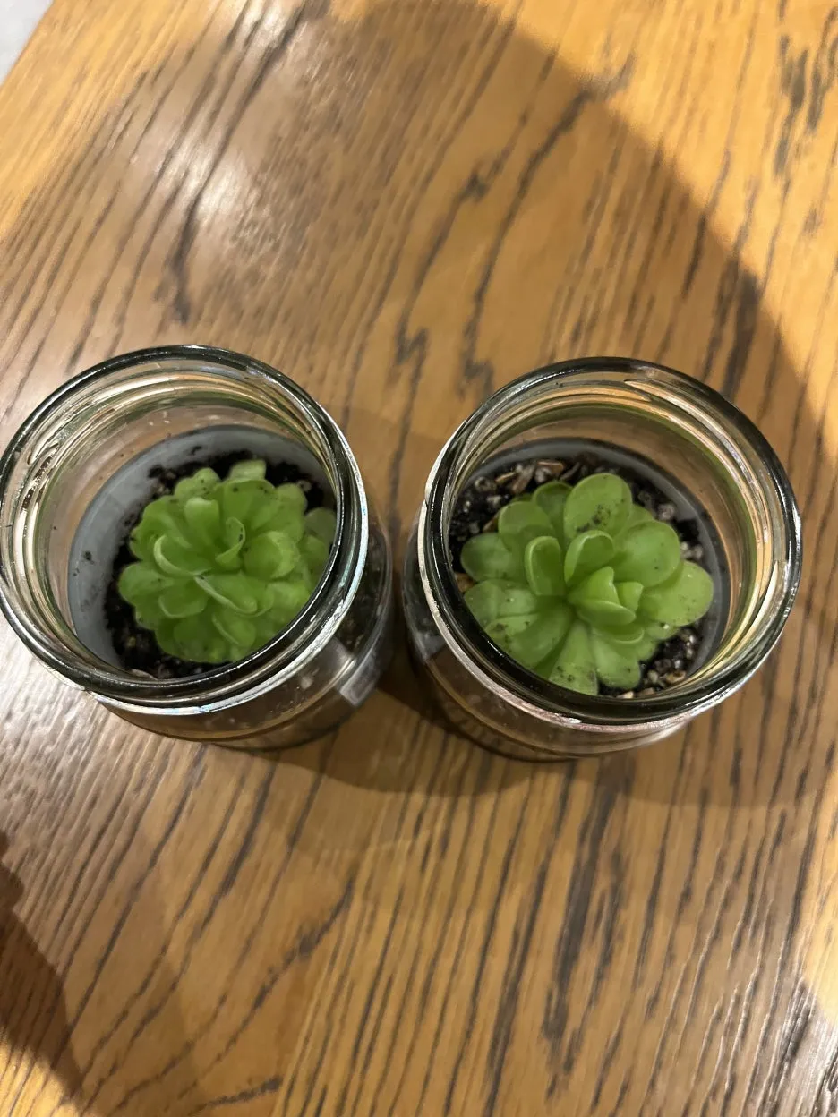 KakaoTalk_20250628_095459608_09.jpg?type=w1