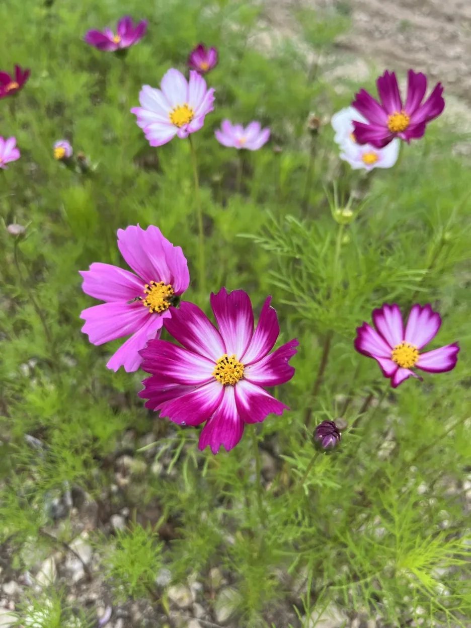 KakaoTalk_20250523_220402840_09.jpg?type=w1