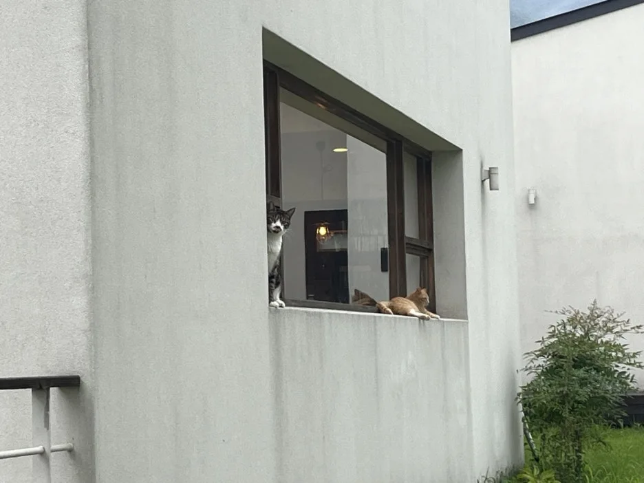 KakaoTalk_20240802_093519909_18.jpg?type=w1