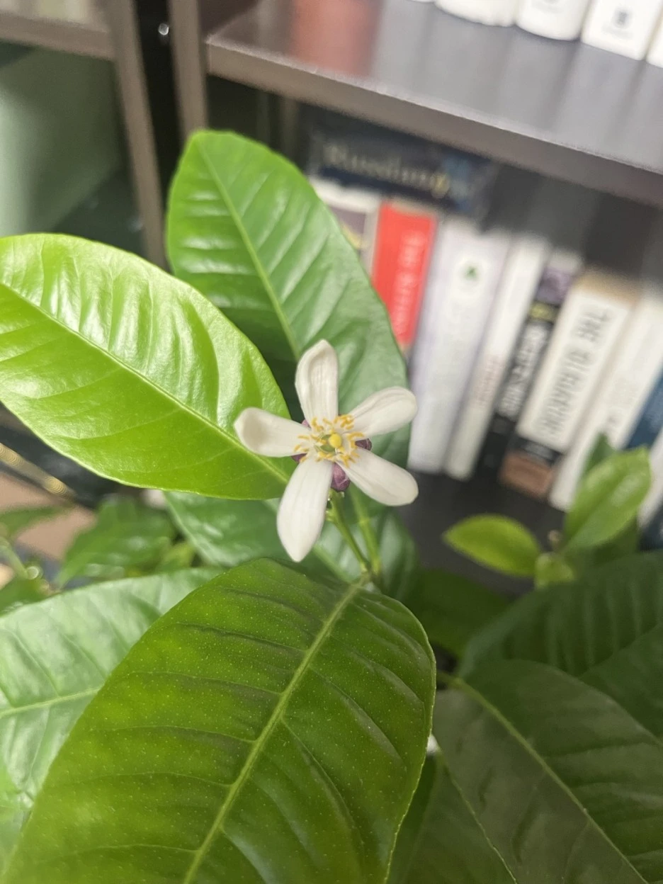 KakaoTalk_20221206_155257053.jpg?typew1