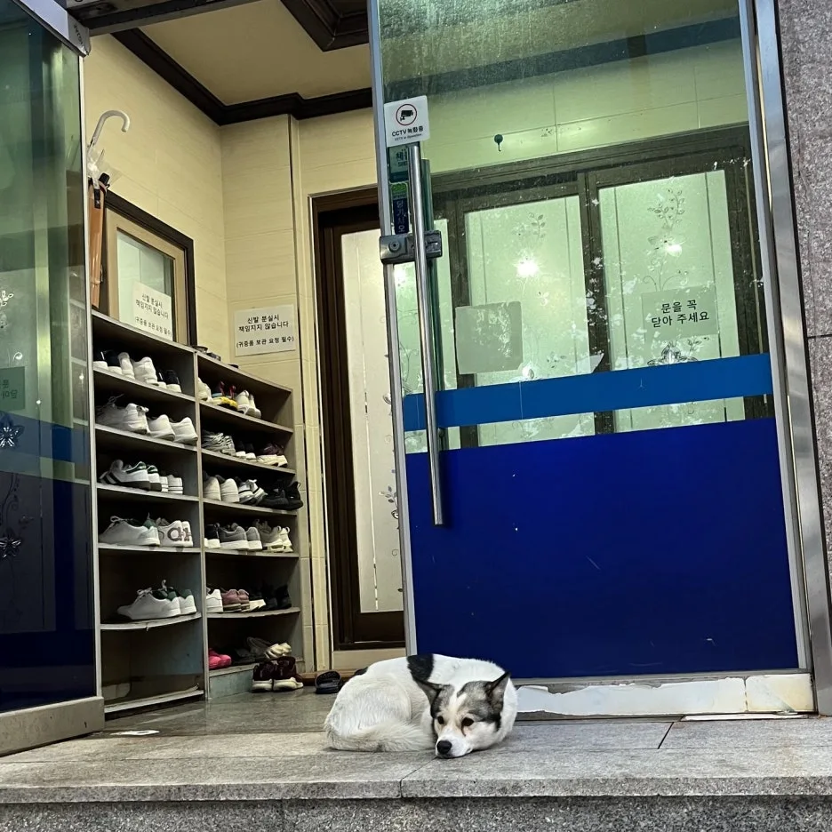 KakaoTalk_20250510_213112905_15.jpg?type=w1