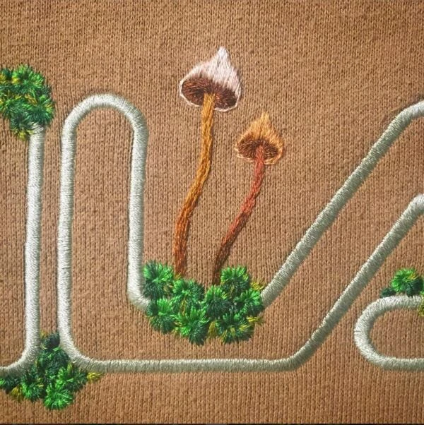 peccaqxb97ydduualqvk.jpg?type=w1