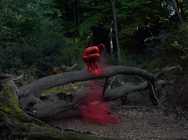 attachImage_1457364192.jpeg?type=w1