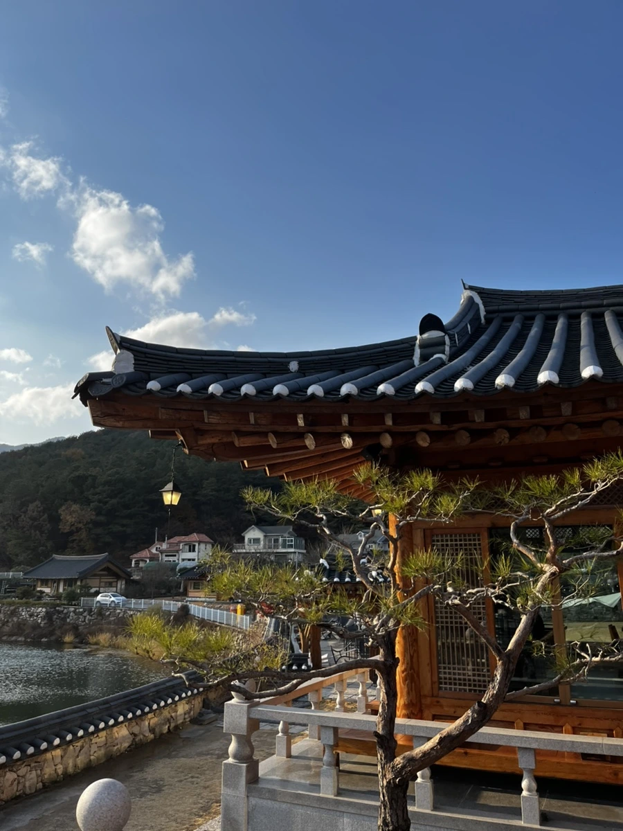 IMG%EF%BC%BF6849.jpg?type=w1