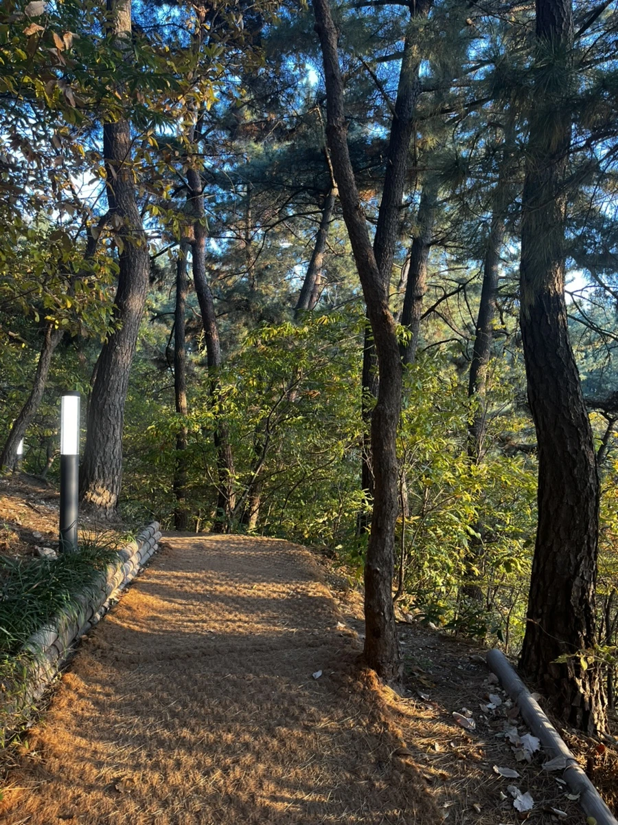 IMG%EF%BC%BF6640.jpg?type=w1