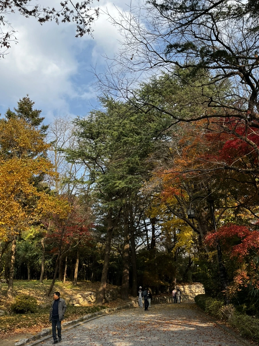 IMG%EF%BC%BF6723.jpg?type=w1