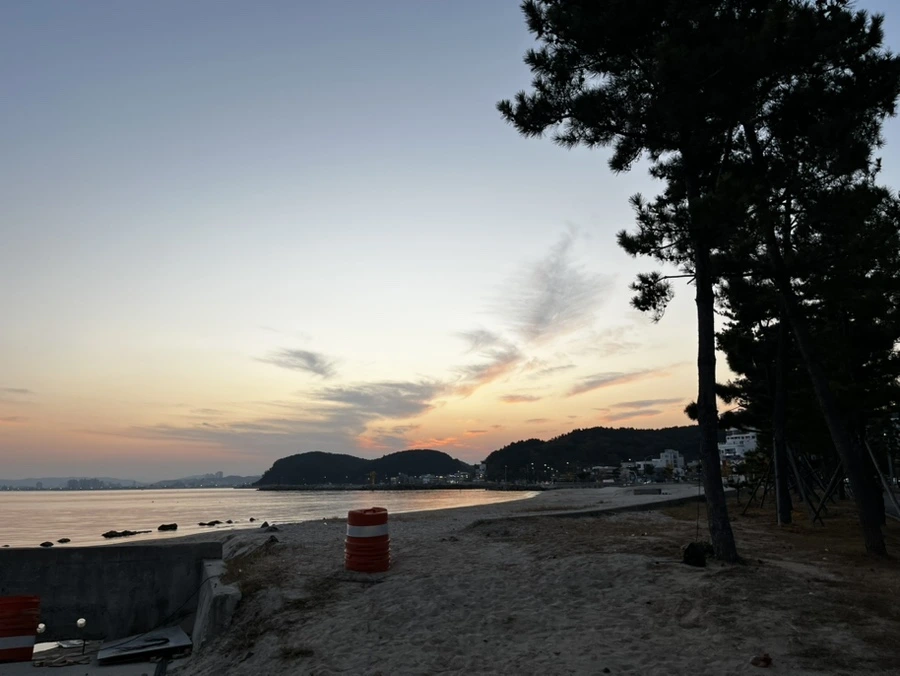 IMG%EF%BC%BF6668.jpg?type=w1