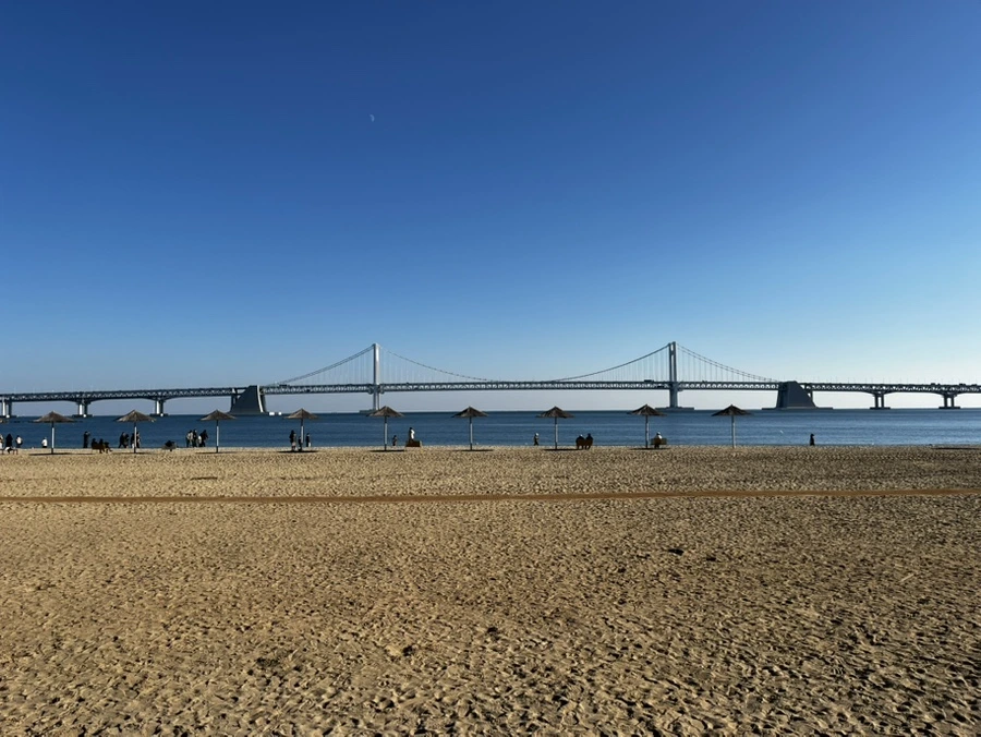 IMG%EF%BC%BF6885.jpg?type=w1