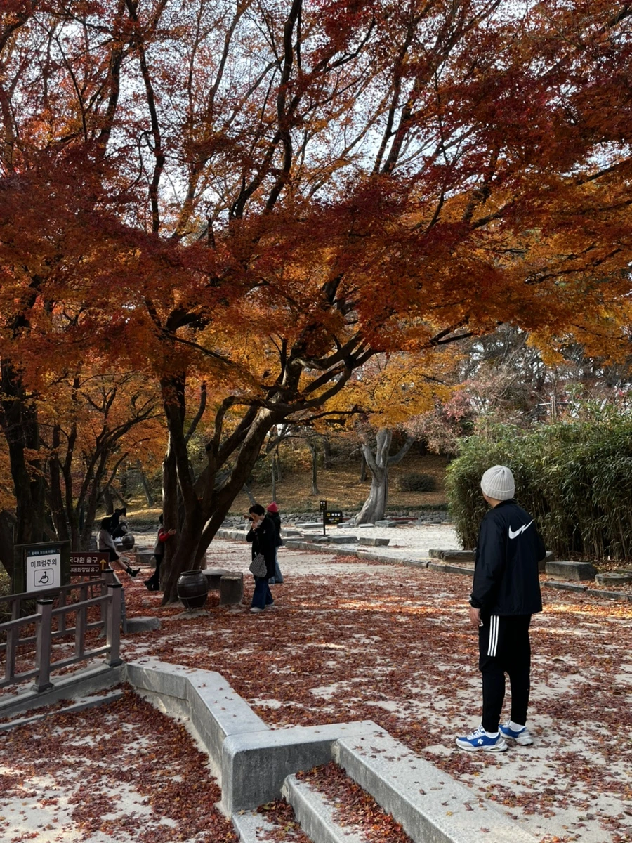 IMG%EF%BC%BF6743.jpg?type=w1